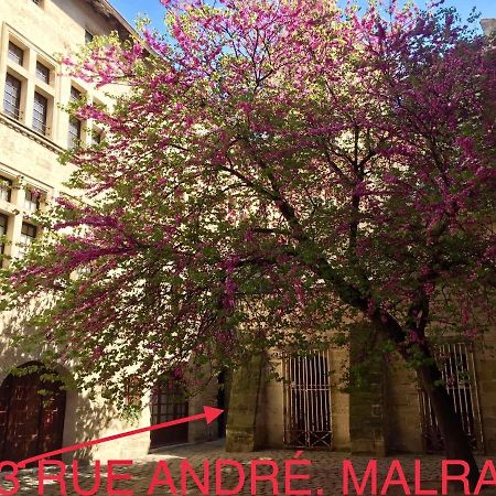 Appartement A 50 M De La Place Aux Herbes Uzès Exterior foto