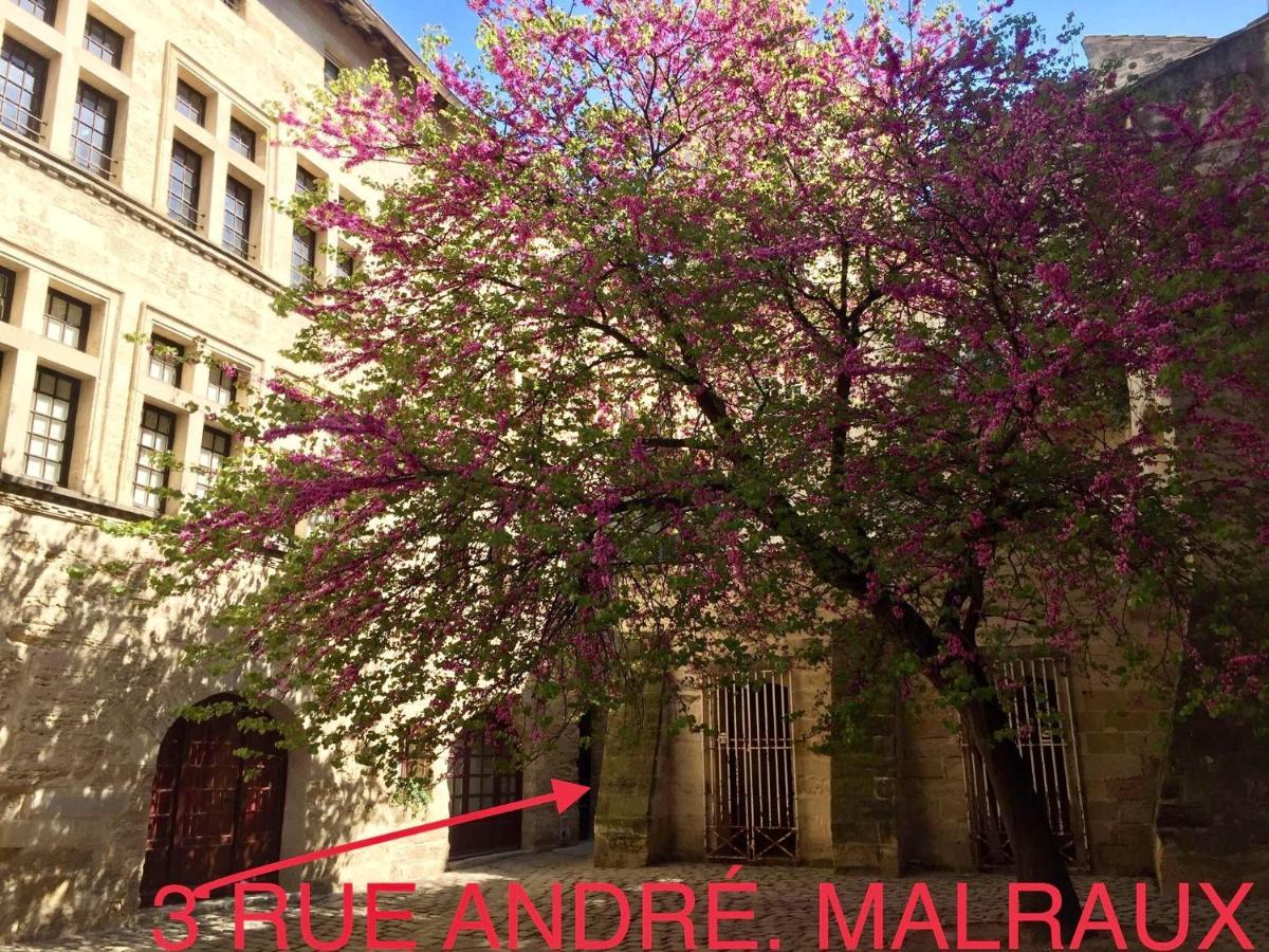 Appartement A 50 M De La Place Aux Herbes Uzès Exterior foto