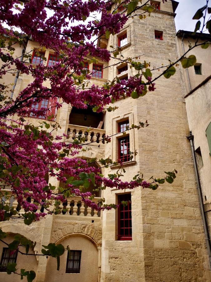 Appartement A 50 M De La Place Aux Herbes Uzès Exterior foto